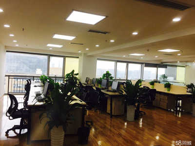 成都信城锦蓉商务信息咨询 企业管理咨询的专业伙伴